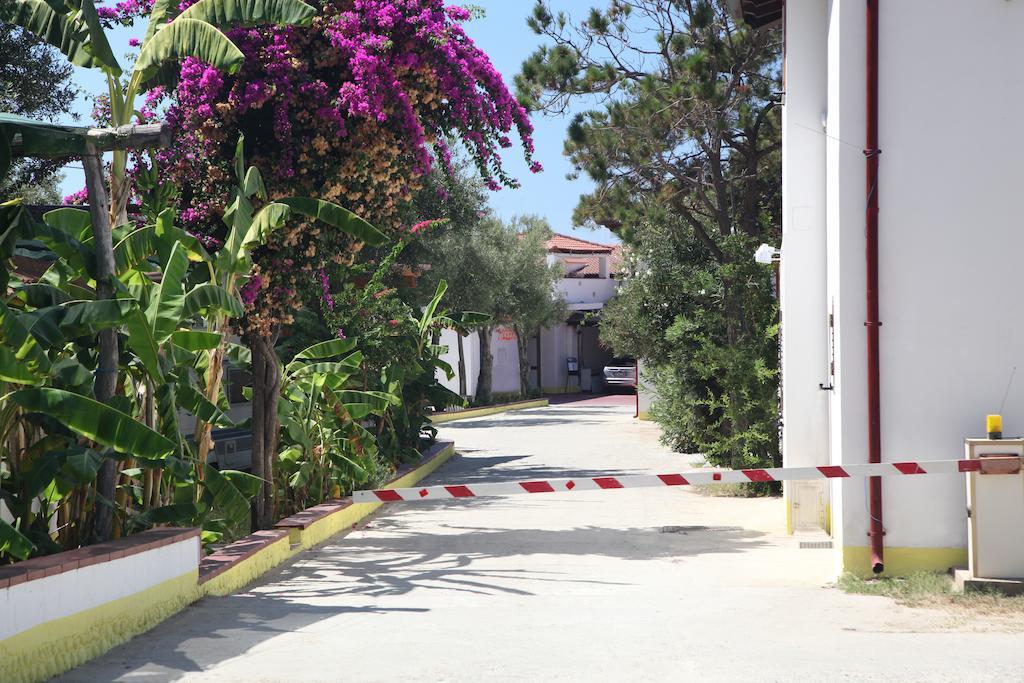 Villaggio Camping La Scogliera Ricadi Εξωτερικό φωτογραφία