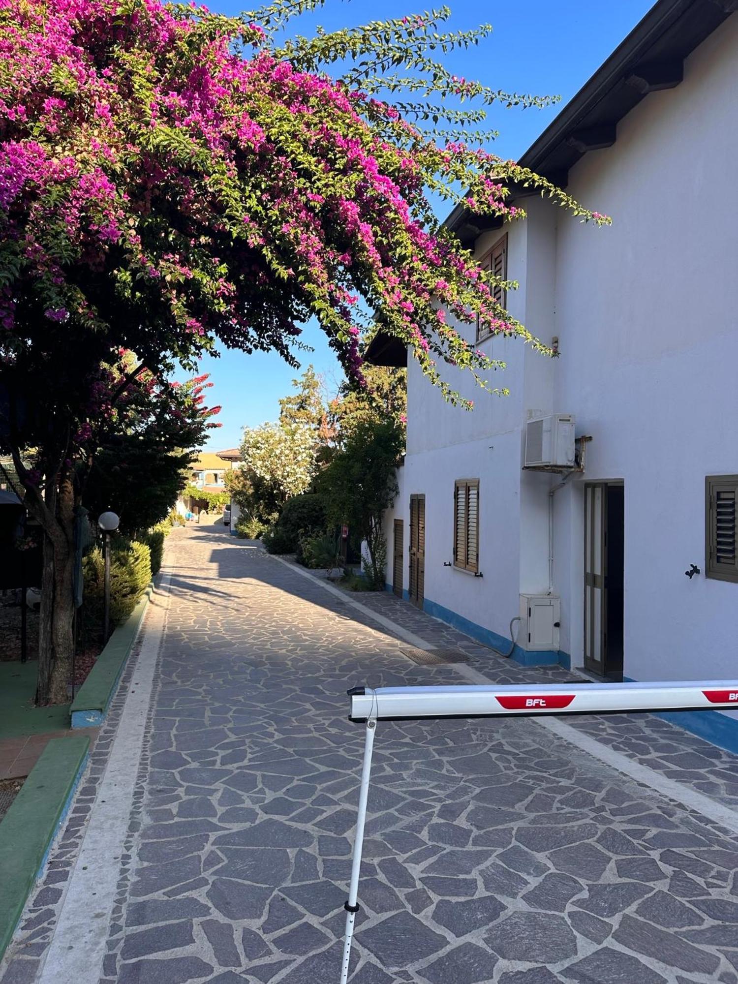 Villaggio Camping La Scogliera Ricadi Εξωτερικό φωτογραφία
